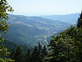 Blick ins Vallée de Munster