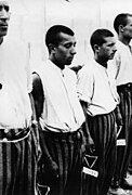 Black triangles visible on the trousers of Romani detainees at Dachau