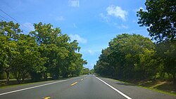 Puerto Rico Highway 693 in Higuillar