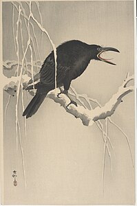 Cawing crow, c. 1900s