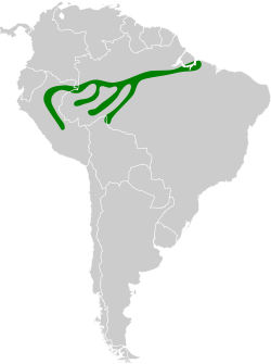 Distribución geográfica del curutié rojiblanco.