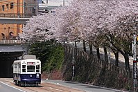 行駛於櫻町電車站附近的3號系統電車