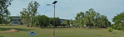 Panoramic view of campus. Mostly only trees and grass are visible, covering the buildings visible in the background.