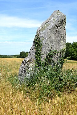 Image illustrative de l’article Pierre Longue du Bouchet