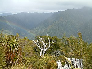 The view from the highest point of the track