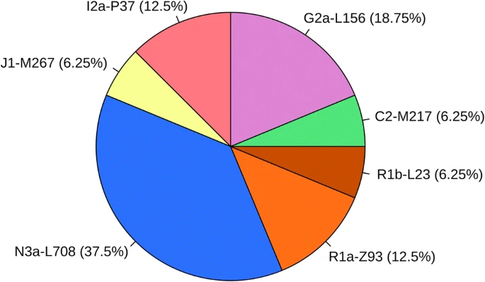 File:Hungarian Conqueror Y-DNA.webp