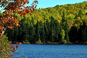 Image illustrative de l’article Lac Écarté (Shawinigan)