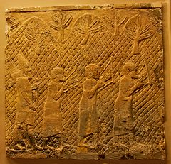 Photograph of a scene from Lachish Relief: Judahites from Lachish in Assyrian captivity, playing a later form of the Egyptian lyre