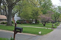 Houses on Minerva Lake Road