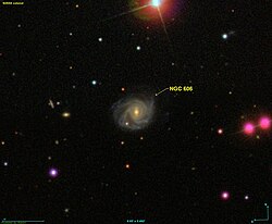 NGC 606