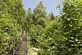 Passage en escaliers dans le parc national.