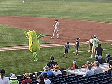 Mr. Celery runs along the first base line, arms aloft, clutching a stalk of celery.