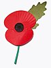 Royal British Legion pin poppy