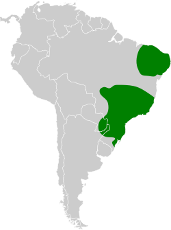 Distribución geográfica del tirahojas ogarití (incluyendo S. scansor cearensis)