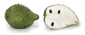 soursop fruit, whole and in section. It is green with scales has white flesh and black seeds