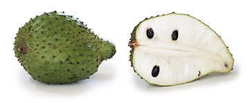 File:Soursop, Annona muricata.jpg