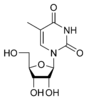 Chemical structure of 5-methyluridine