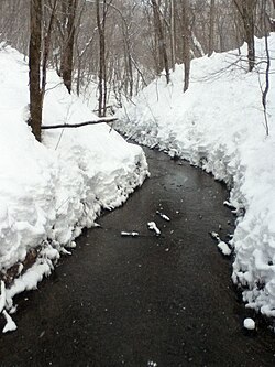 内別川 2012年2月4日撮影