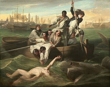Watson and the Shark, by John Singleton Copley