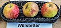 Willstetter