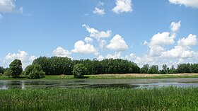 Vue de l'île