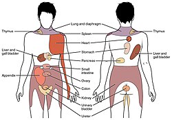 1506 Referred Pain Chart.jpg