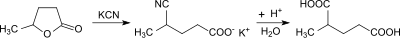 2-Methylglutarsäure aus gamma-Valerolacton + HCN