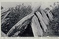 L'allée couverte de Lesconil , appelée en breton Ty-ar-c'horriged (la Maison des korrigans) ; carte postale, vers 1900.