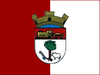 Flag of Presidente Venceslau
