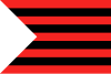 Flag of Ungheni