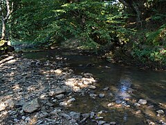 The river at Yablanitsa