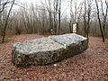 Dolmen also wrongly said as a "sacrifice table", is located in the Forêt de Boixe