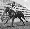 Cherimoya winning the 1911 Epsom Oaks in a photograph by C.J. Waters.