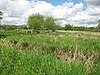 Yare Broads and Marshes