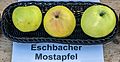 Mostapfel