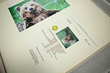 Impresión artística de un oso en un entorno natural, acompañada de un certificado de autenticidad