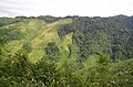 Jhum cultivation, a slash-and-burn technique, is practised by the hill tribes as an ancient tradition.