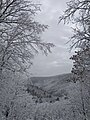 Kaaterskill Clove in Winter