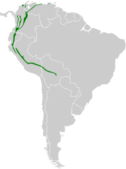 Distribución geográfica del trepatroncos montano.