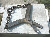 A French-type chain-linked lewis