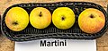 Martini