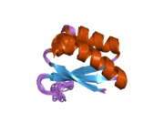 2hh3: Solution structure of the third KH domain of KSRP