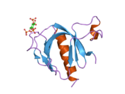 2p0h: ArhGAP9 PH domain in complex with Ins(1,3,4)P3