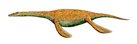 Реконструкия Pistosaurus longaevus