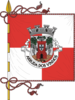 Flag of Arruda dos Vinhos