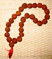 Le Rudraksha hindou ou plutôt shivaïte.