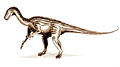 Thecodontosaurus