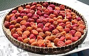 Umeboshi (pickled ume fruit) drying in the sun