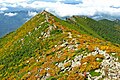 Photo couleur d'un crête de montagne couverte d'arbres au feuillage vert, orange ou jaune. L'arrière-plan est composé d'une nappe de nuages au-dessus d'un massif montagneux boisé.