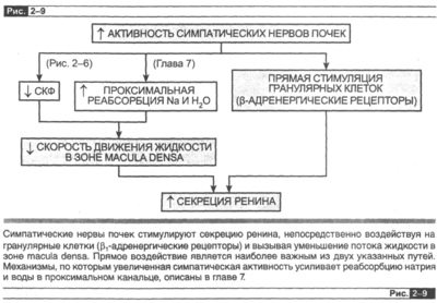 Вандер А. Физиология почек, 2000